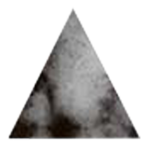 Genpol